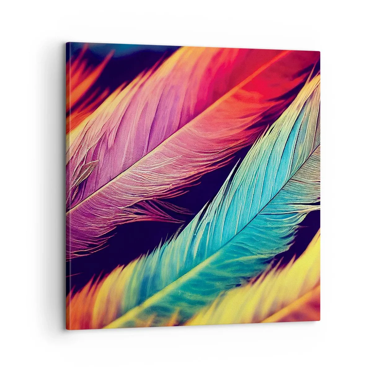 Cuadro sobre lienzo - Impresión de Imagen - Arco iris plumoso - 60x60 cm