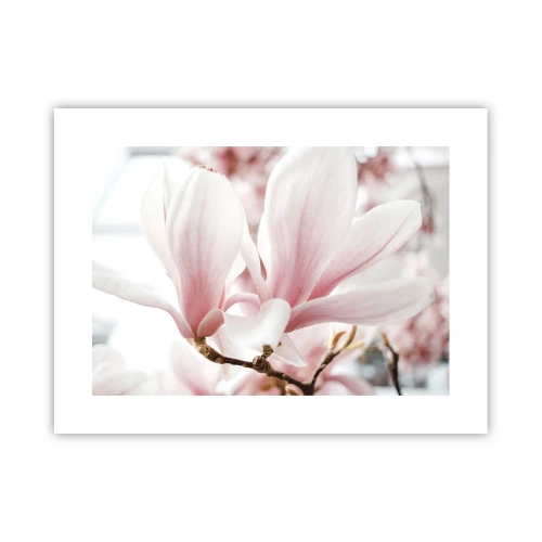 Póster - Inmensidad de la ternura - 40x30 cm