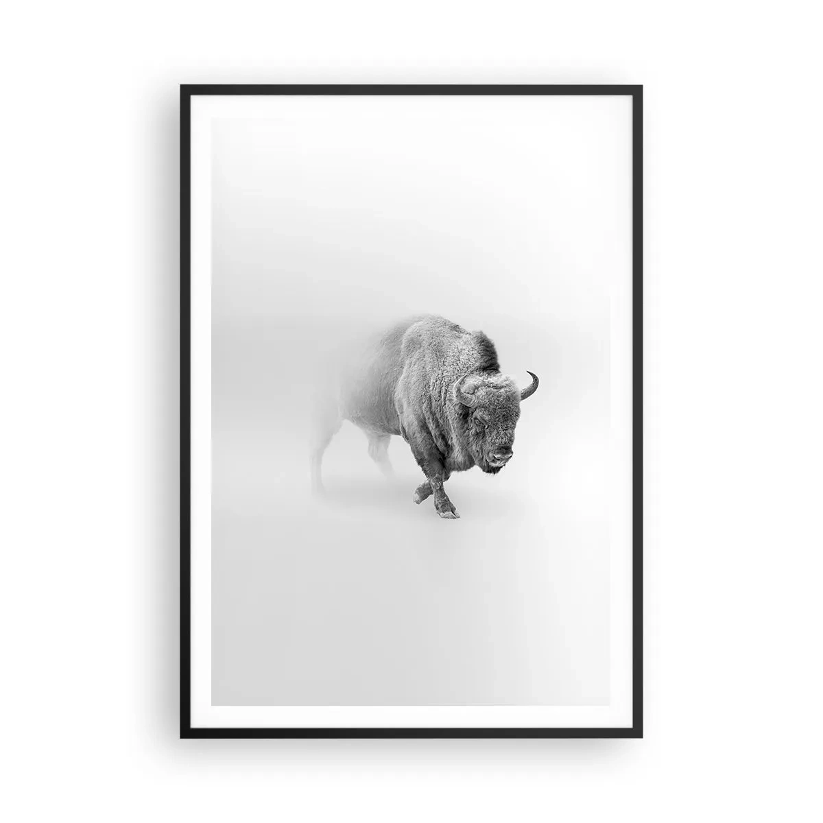 Póster en marco negro - Rey de la pradera - 70x100 cm