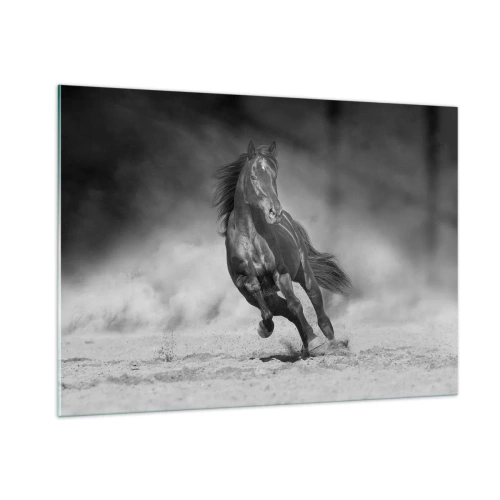 Cuadro sobre vidrio - Impresiones sobre Vidrio - Un caballo negro galopando sobre la arena en blanco y negro. - 100x70cm - Digno del propio emir - Decoración de pared moderna para salón y dormitorio ARTTOR