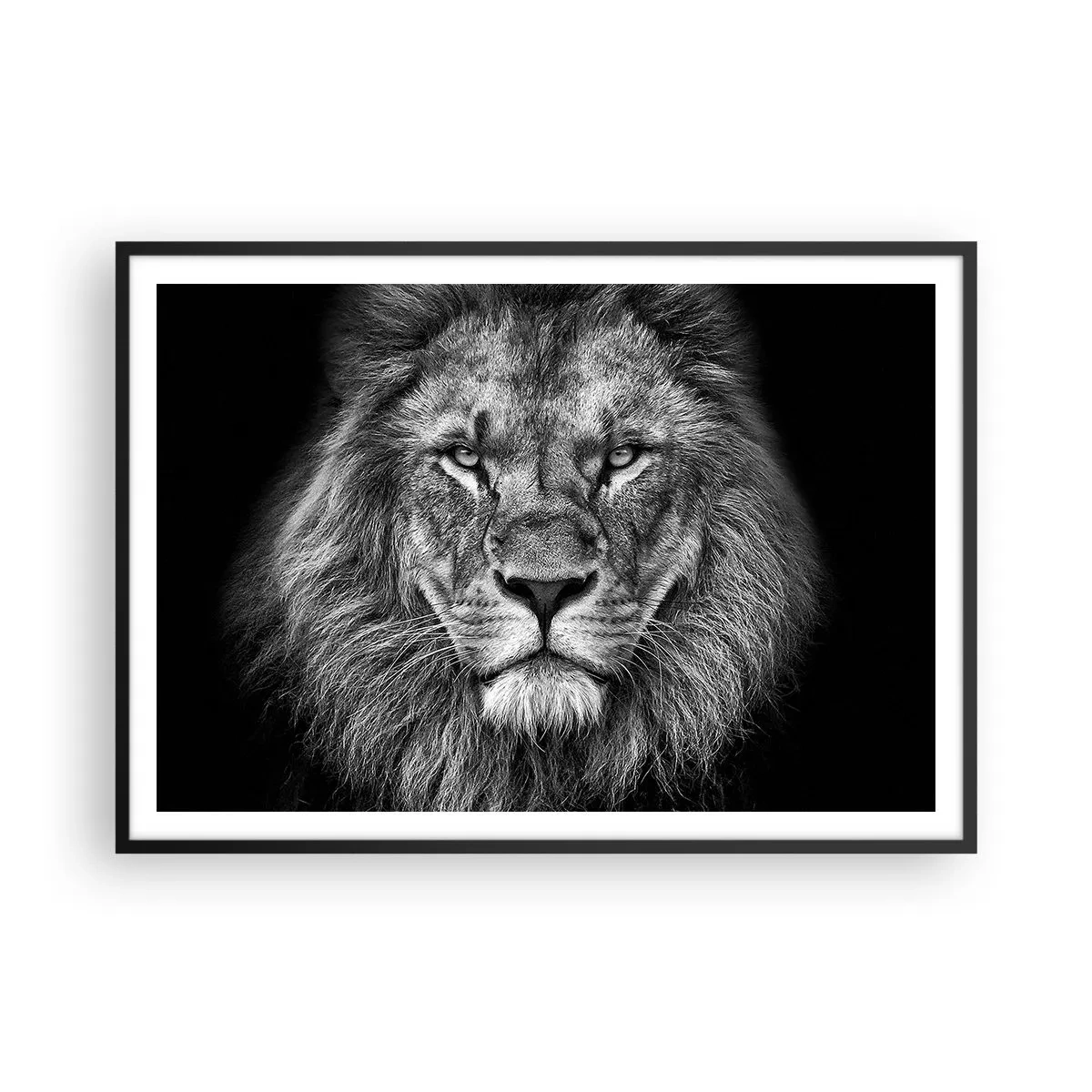 Póster en marco negro - Retrato de un majestuoso león en blanco y negro - 100x70cm - Con el atuendo de la coronación - Decoración de pared moderna para salón y dormitorio ARTTOR