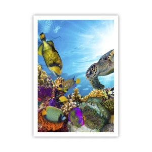 Póster - Paseo del coral - 70x100 cm