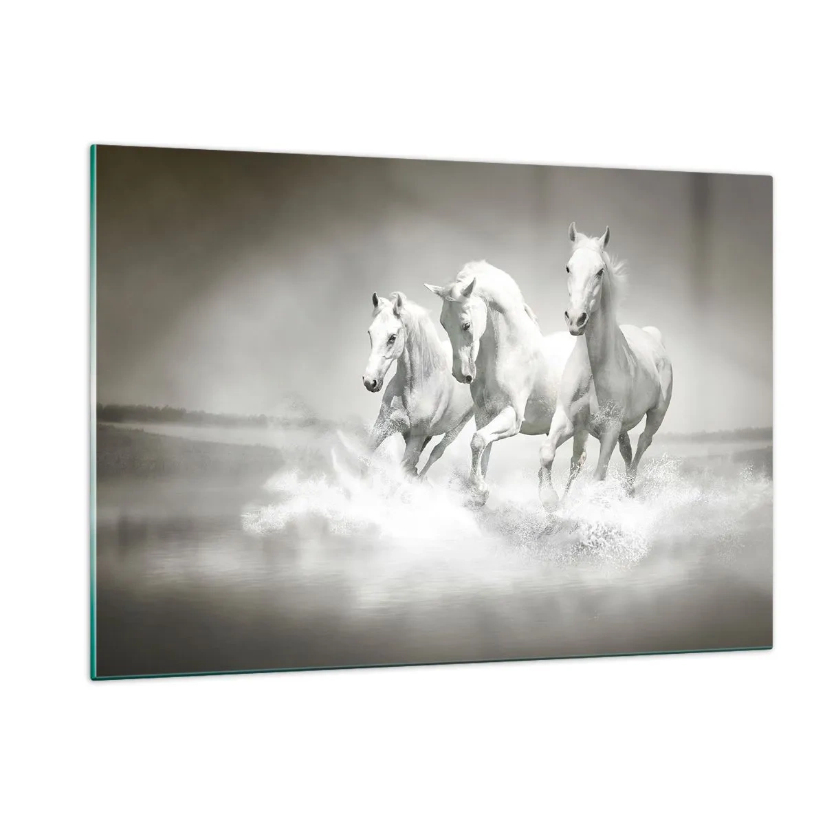 Cuadro sobre vidrio - Impresiones sobre Vidrio - Tres caballos blancos galopando por el agua - 120x80cm - Locura blanca - Decoración de pared moderna para salón y dormitorio ARTTOR