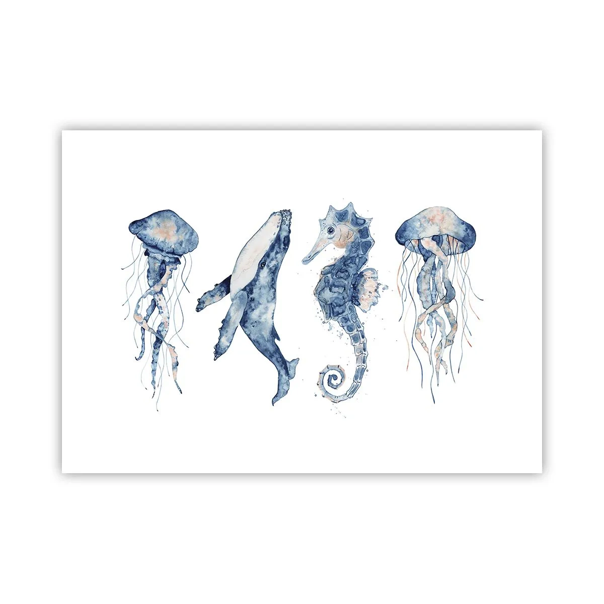 Póster - Fauna marina - 70x50 cm