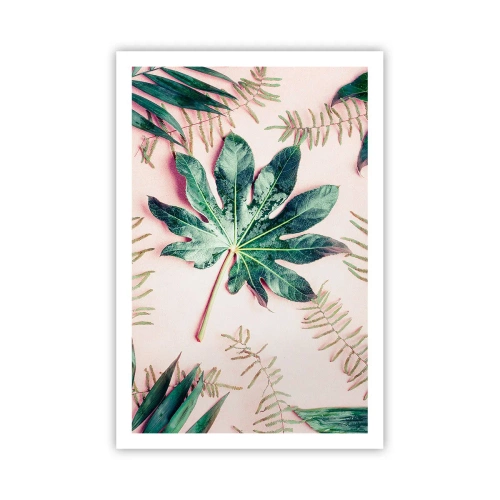 Póster - Estudio de vegetación sobre fondo rosa - 61x91 cm