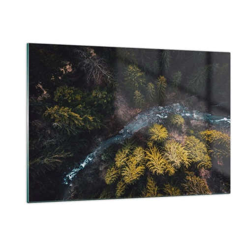 Cuadro sobre vidrio - Impresiones sobre Vidrio - Una vista de pájaro de un paisaje forestal con un arroyo sinuoso. - 120x80cm - Rápido, cada vez más rápido - Decoración de pared moderna para salón y dormitorio ARTTOR