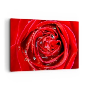 Cuadro sobre lienzo - Impresión de Imagen - Primer plano de una rosa roja con gotas de agua en los pétalos. - 120x80cm - En gotas de rocío - Decoración de pared moderna para salón y dormitorio ARTTOR