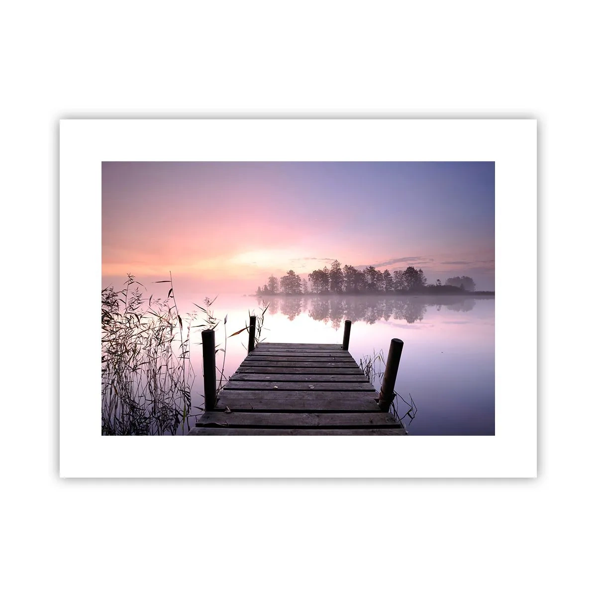 Póster - De la niebla lila... - 40x30 cm