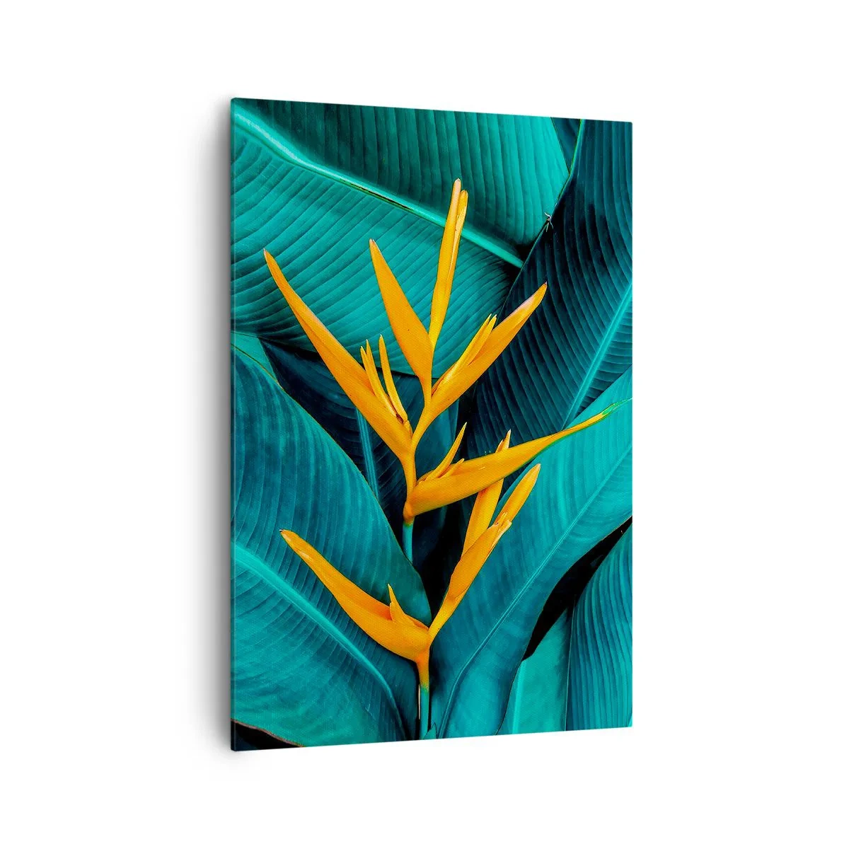 Cuadro sobre lienzo - Impresión de Imagen - Una flor exótica sobre un fondo de hojas de plátano en tonos turquesas. - 70x100cm - Flor del Edén - Decoración de pared moderna para salón y dormitorio ARTTOR