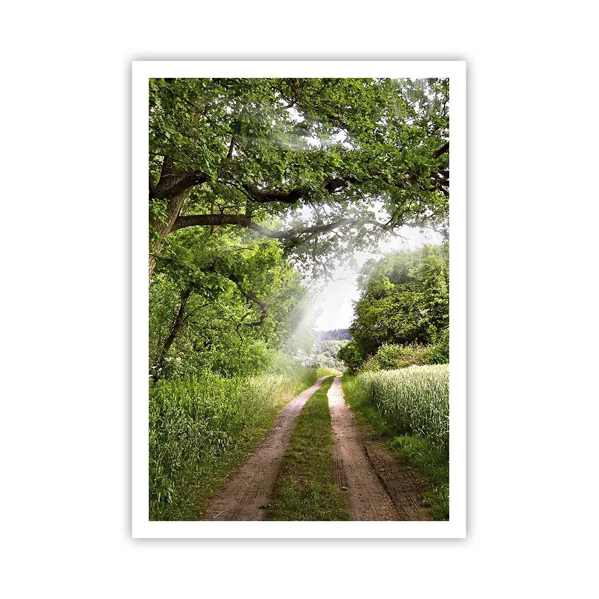 Póster - Ensueño - 70x100 cm