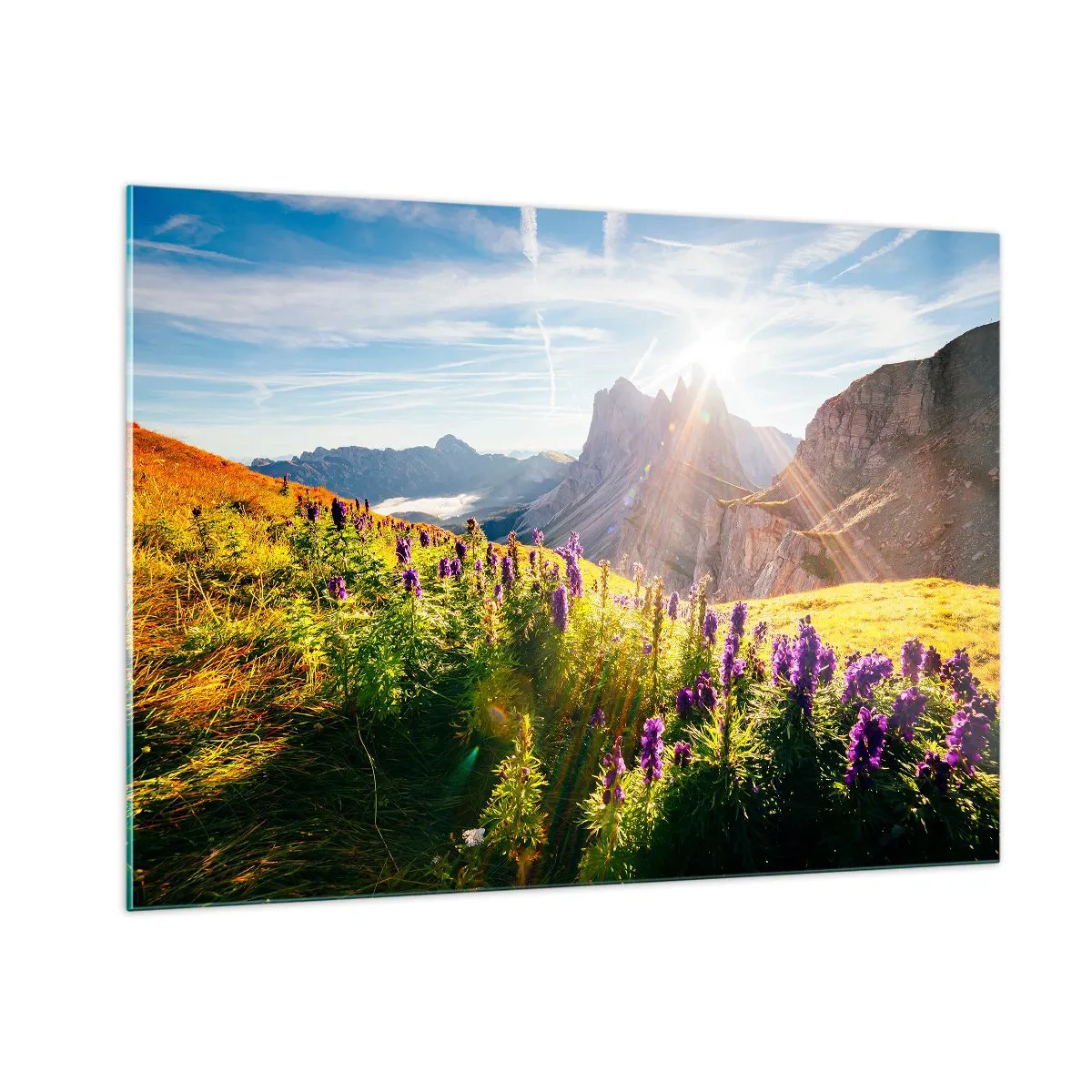 Cuadro sobre vidrio - Impresiones sobre Vidrio - Un prado de montaña lleno de flores con un telón de fondo de picos rocosos al amanecer. - 100x70cm - La vida secreta de las hierbas - Decoración de pared moderna para salón y dormitorio ARTTOR