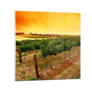 Cuadro sobre vidrio - Impresiones sobre Vidrio - Un trago del sol - 30x30 cm