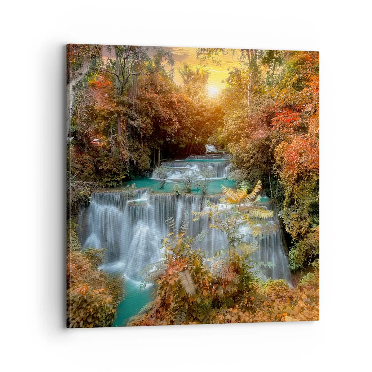 Cuadro sobre lienzo - Impresión de Imagen - El tesoro escondido del bosque - 70x70 cm