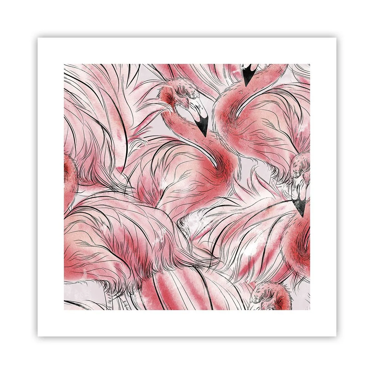 Póster - Ballet de aves - 40x40 cm