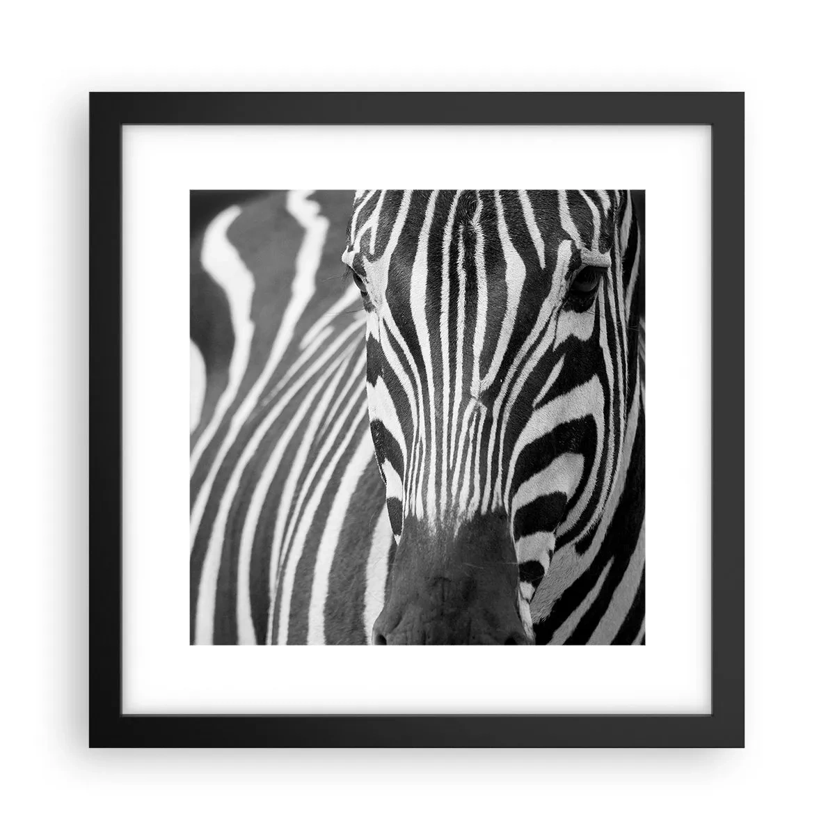 Póster en marco negro - El mundo es blanco y negro - 30x30 cm