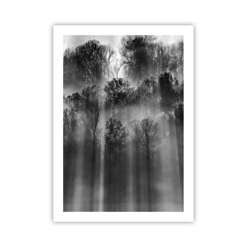 Póster - Bosque blanco y negro en la niebla con rayos de sol. - 50x70cm - En los flujos de luz - Decoración de pared moderna para salón y dormitorio ARTTOR