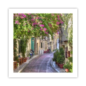 Póster - Un callejón floreciente - 50x50 cm