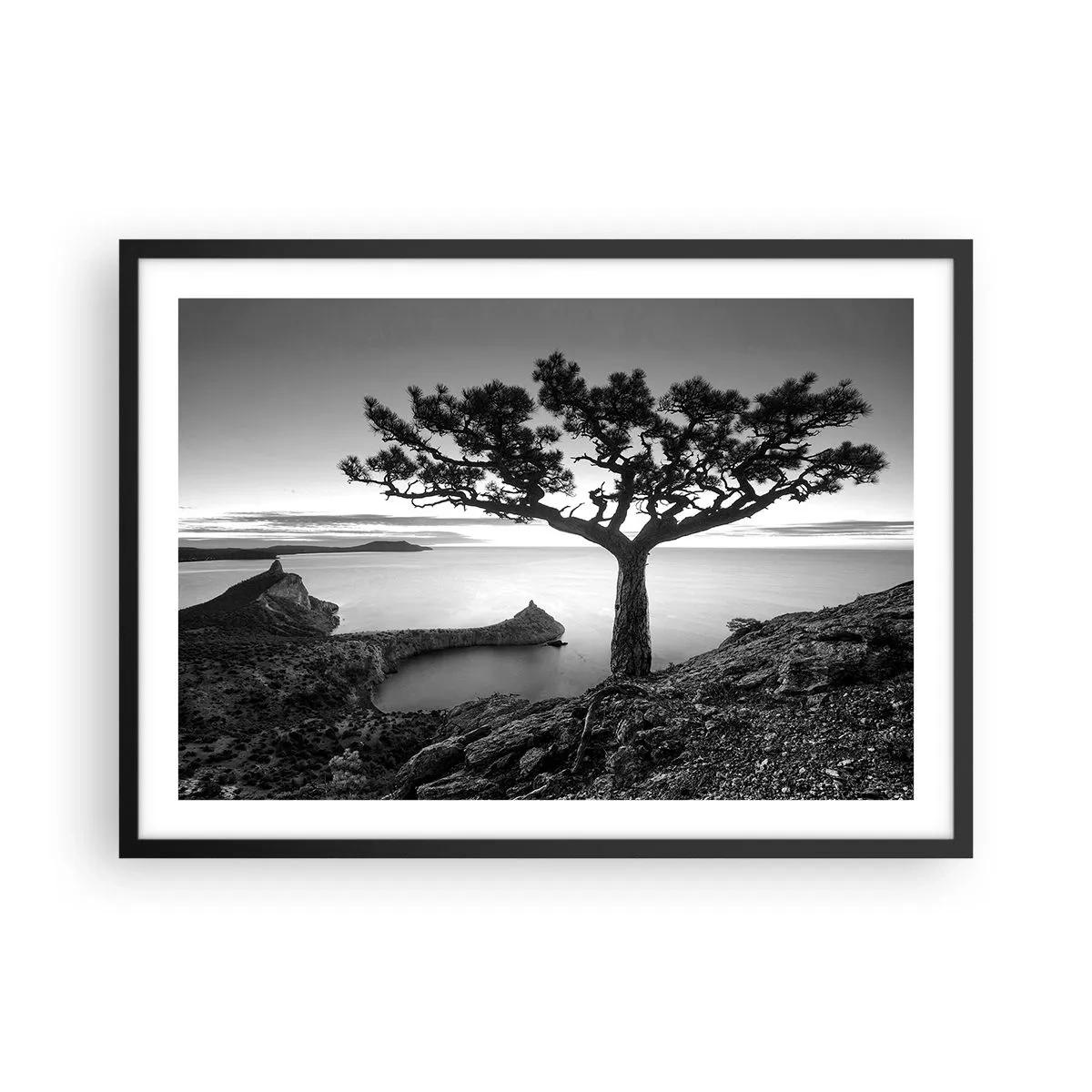 Póster en marco negro - Paisaje en blanco y negro con un árbol solitario en un acantilado sobre el mar. - 70x50cm - Calma hasta el horizonte - Decoración de pared moderna para salón y dormitorio ARTTOR