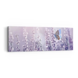 Cuadro sobre lienzo - Impresión de Imagen - El beso de una mariposa - 90x30 cm