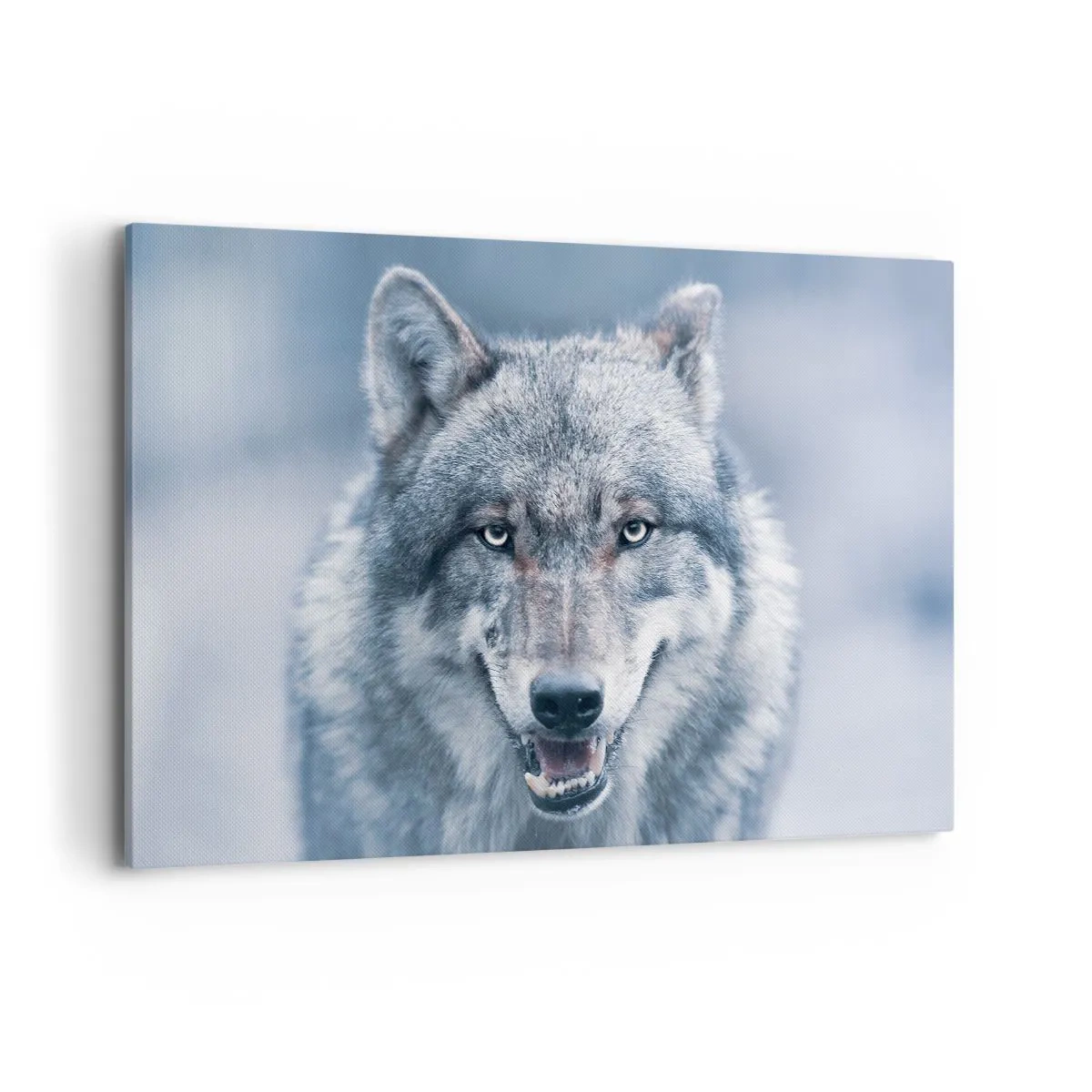 Cuadro sobre lienzo - Impresión de Imagen - Un lobo con una mirada intensa en un paisaje invernal. - 120x80cm - ¿Aceptarás el reto? - Decoración de pared moderna para salón y dormitorio ARTTOR