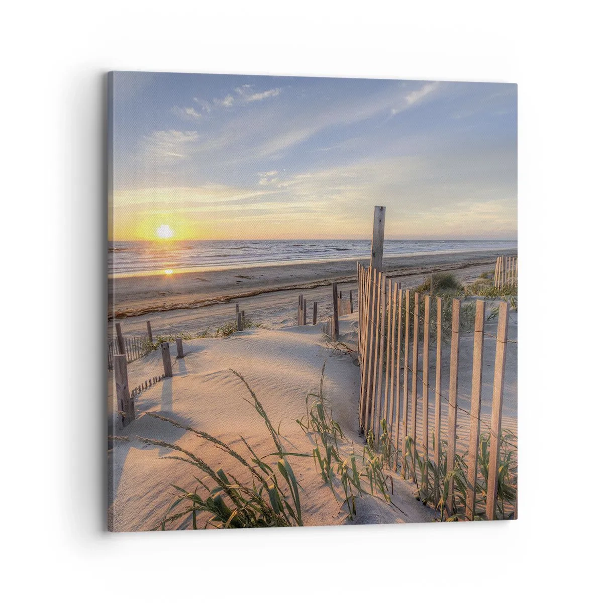 Cuadro sobre lienzo - Impresión de Imagen - El resplandor y la sombra del viento - 70x70 cm