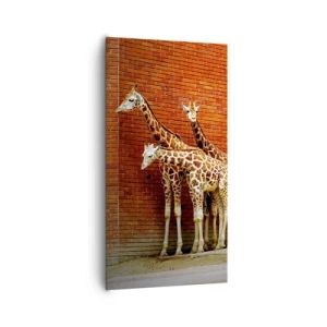 Cuadro sobre lienzo - Impresión de Imagen - ¿Ves alguna acacia? - 65x120 cm