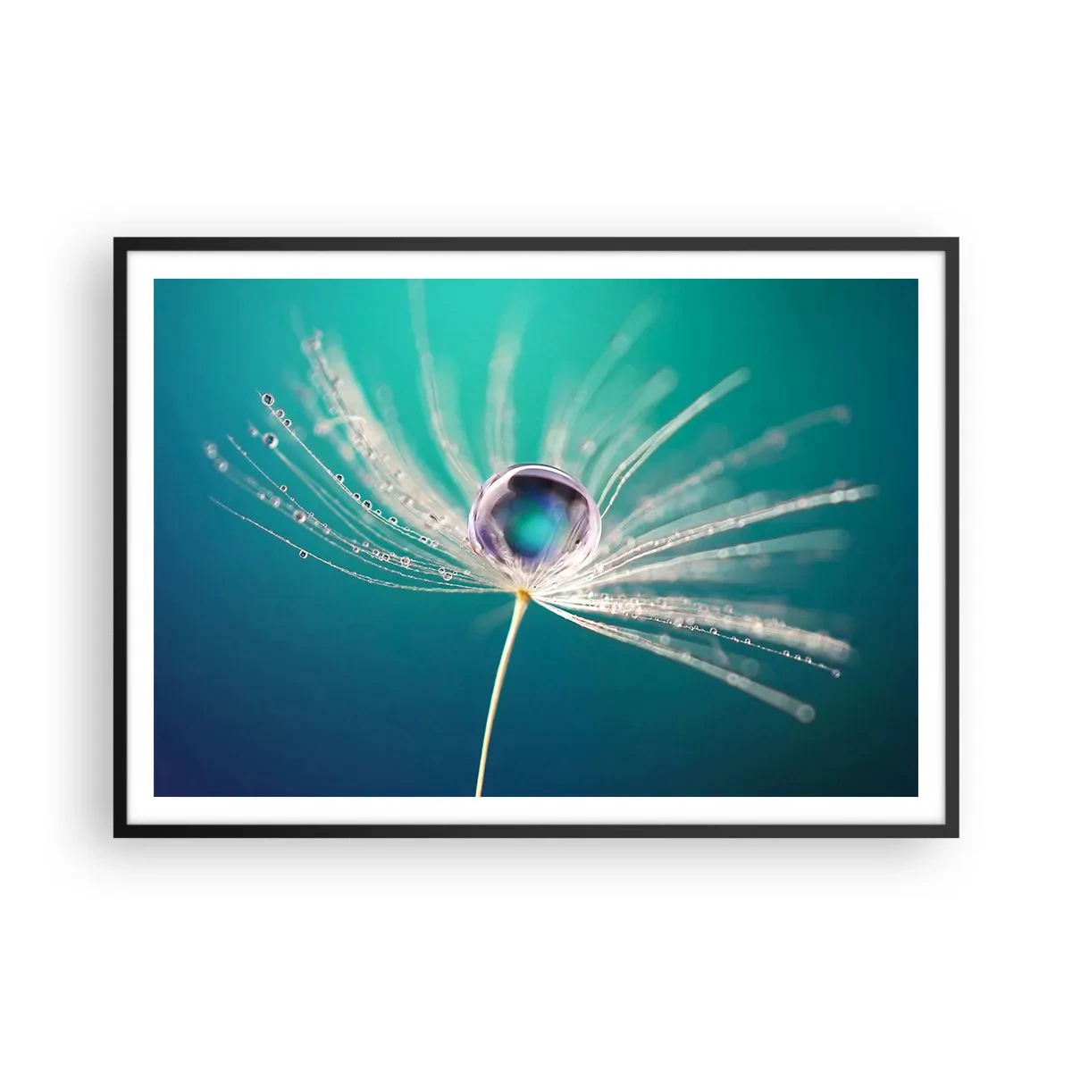 Póster en marco negro - Macro de una gota de agua sobre una delicada semilla de diente de león. - 100x70cm - Momento místico - Decoración de pared moderna para salón y dormitorio ARTTOR