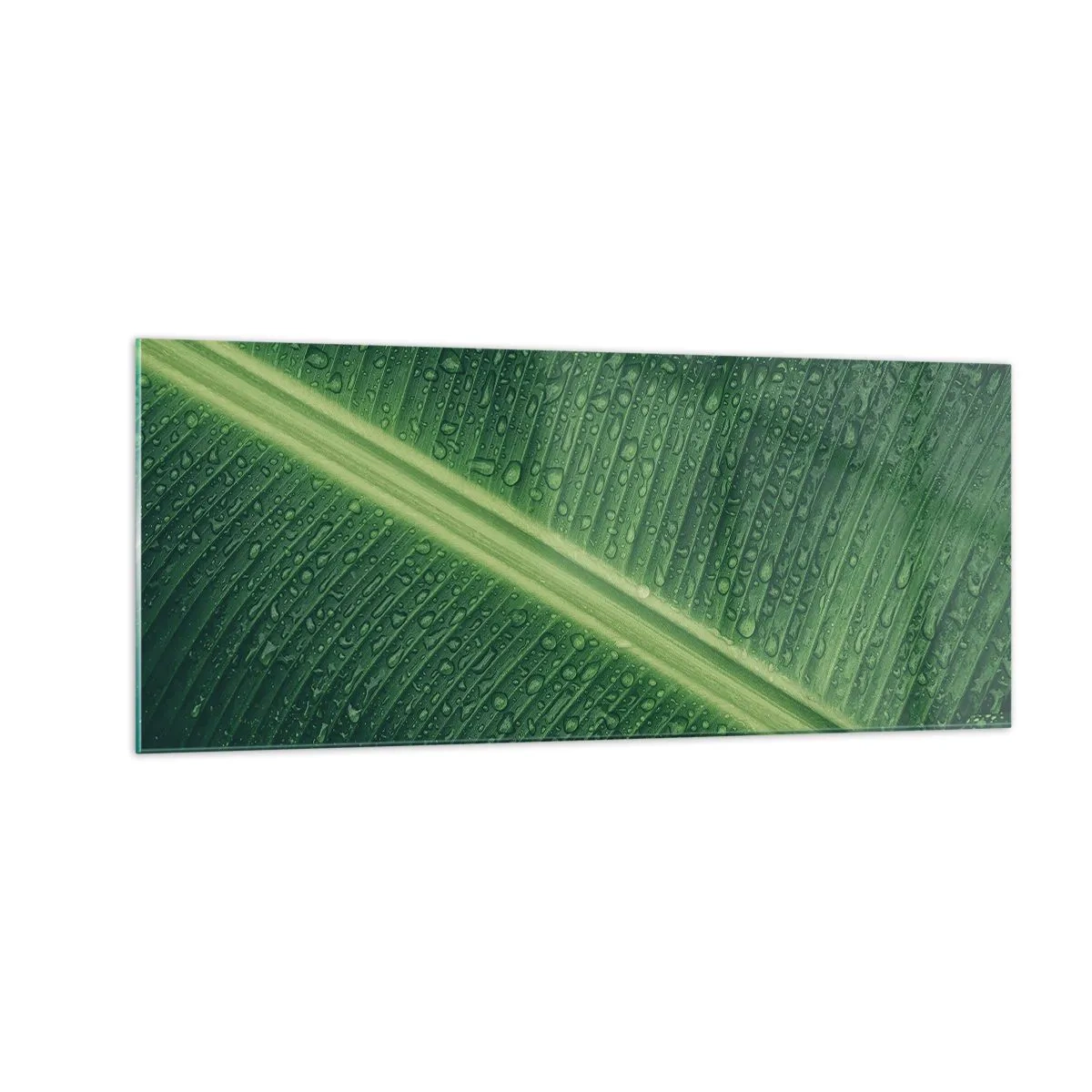 Cuadro sobre vidrio - Impresiones sobre Vidrio - Estructura del verde - 100x40 cm