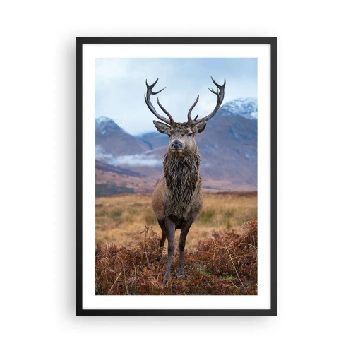 Póster en marco negro - Un ciervo orgulloso con las montañas como telón de fondo - 50x70cm - En mi propia tierra - Decoración de pared moderna para salón y dormitorio ARTTOR