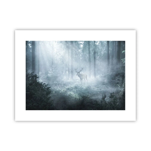 Póster - Ronda matutina por la finca - 40x30 cm