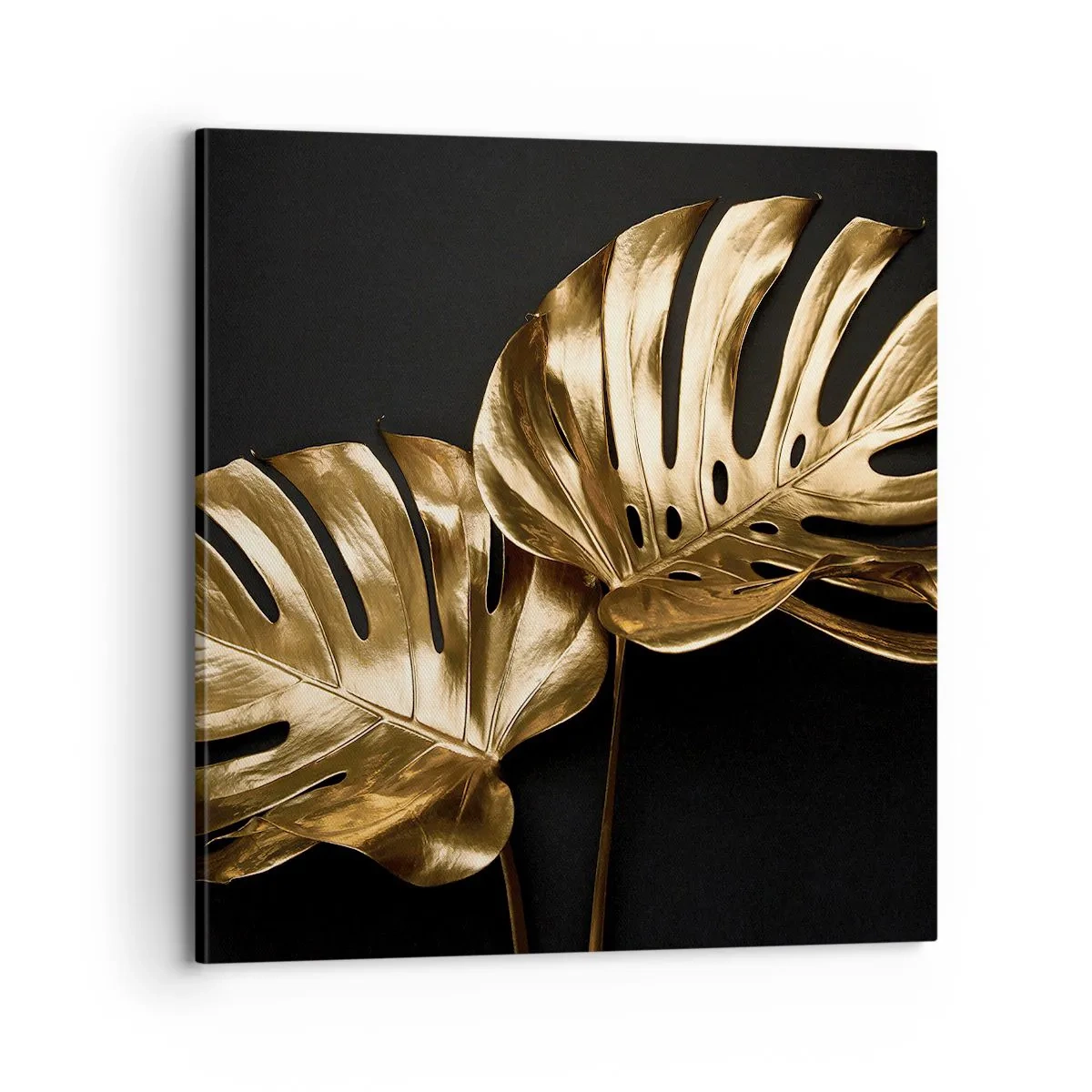 Cuadro sobre lienzo - Impresión de Imagen - Tesoros de la naturaleza - 70x70 cm