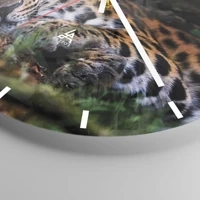 Esfera sin numeración, con rayas