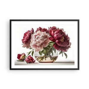 Póster en marco negro - Un ramo de peonías en tonos rosa y rojo. - 70x50cm - En plena floración de la belleza - Decoración de pared moderna para salón y dormitorio ARTTOR