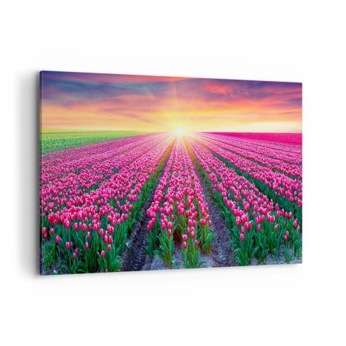 Cuadro sobre lienzo - Impresión de Imagen - Un campo de tulipanes al atardecer - 120x80cm - Granja de belleza - Decoración de pared moderna para salón y dormitorio ARTTOR
