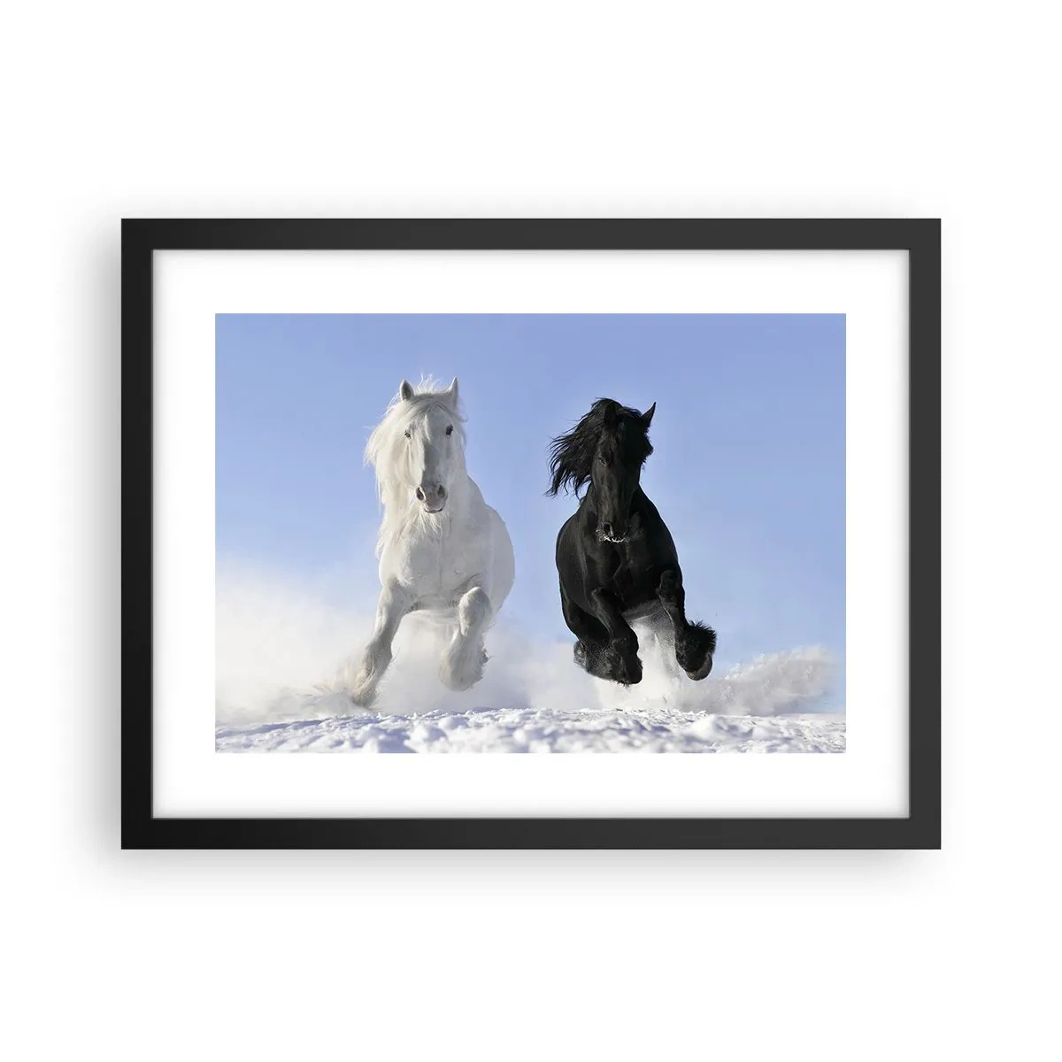 Póster en marco negro - Galope blanco y negro - 40x30 cm