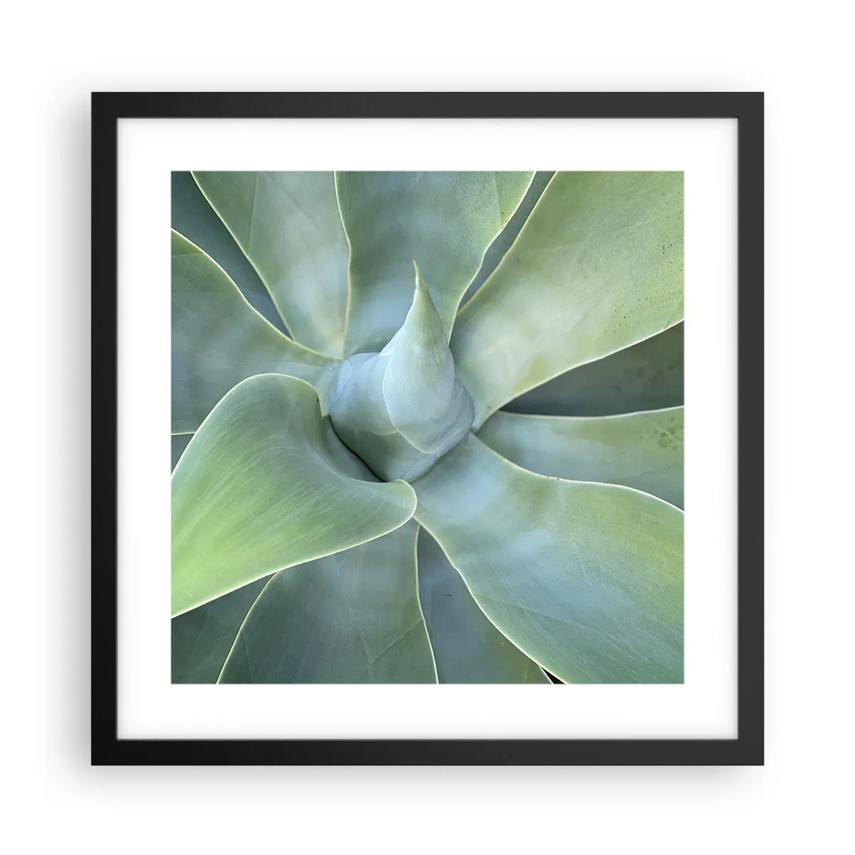 Póster en marco negro - El nacimiento del verde - 40x40 cm