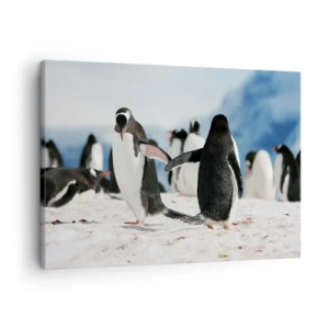 Cuadro sobre lienzo - Impresión de Imagen - Un grupo de pingüinos en la nieve en un paisaje antártico. - 70x50cm - Bailando en la nieve - Decoración de pared moderna para salón y dormitorio ARTTOR