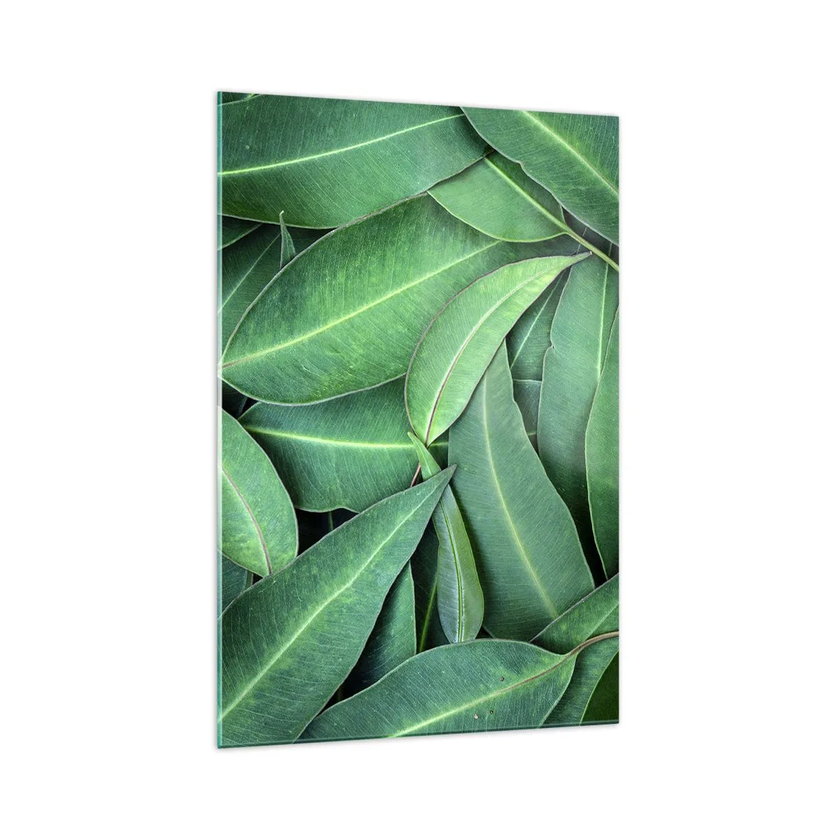 Cuadro sobre vidrio - Impresiones sobre Vidrio - Primer plano de hojas verdes que crean un patrón natural. - 70x100cm - Jugosidad y frescura - Decoración de pared moderna para salón y dormitorio ARTTOR