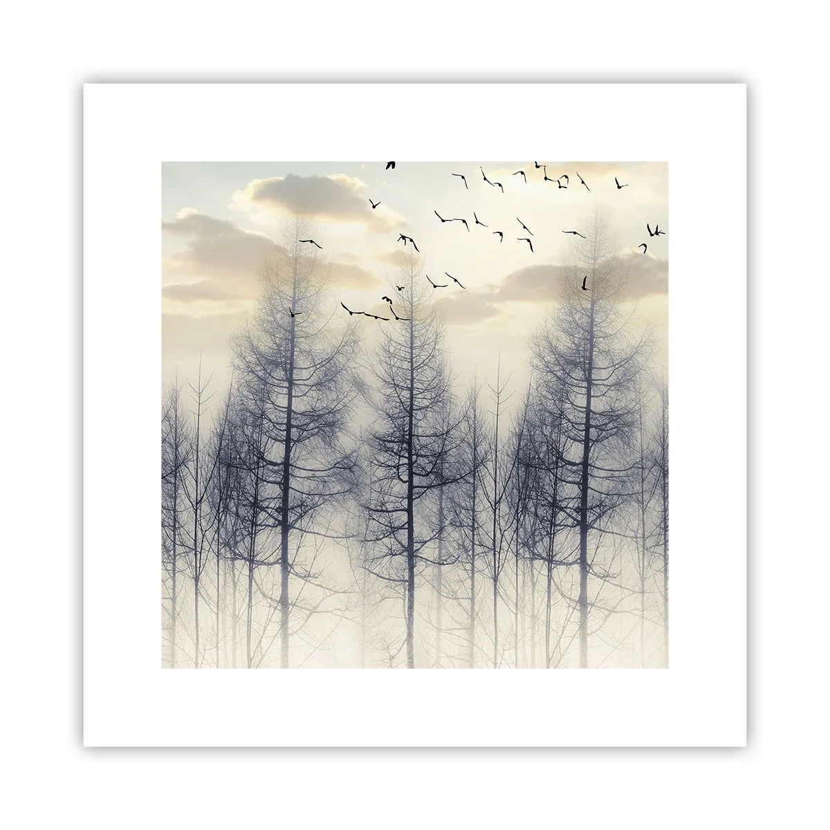 Póster - Espíritus del bosque - 30x30 cm