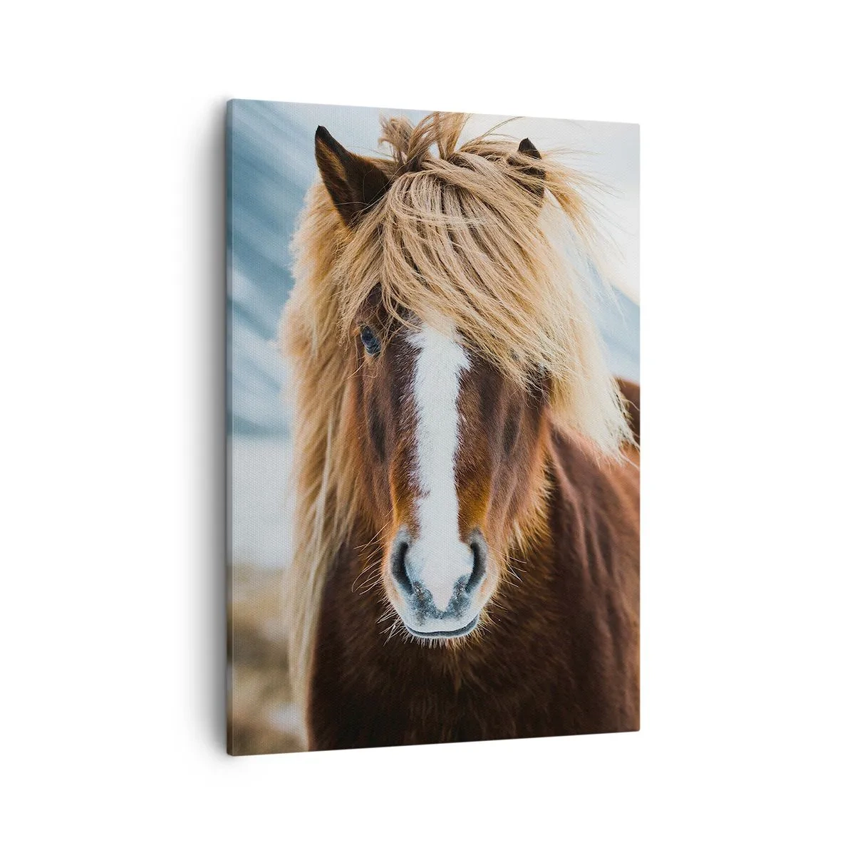 Cuadro sobre lienzo - Impresión de Imagen - Caballo islandés frente a un paisaje montañoso - 50x70cm - ¿Puedes sentir la libertad? - Decoración de pared moderna para salón y dormitorio ARTTOR