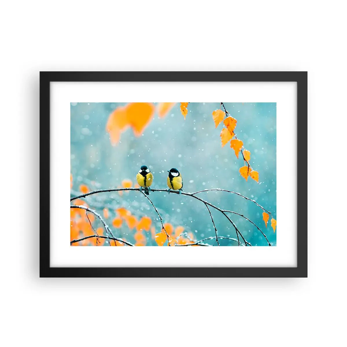 Póster en marco negro - Cotilleo de pájaros - 40x30 cm