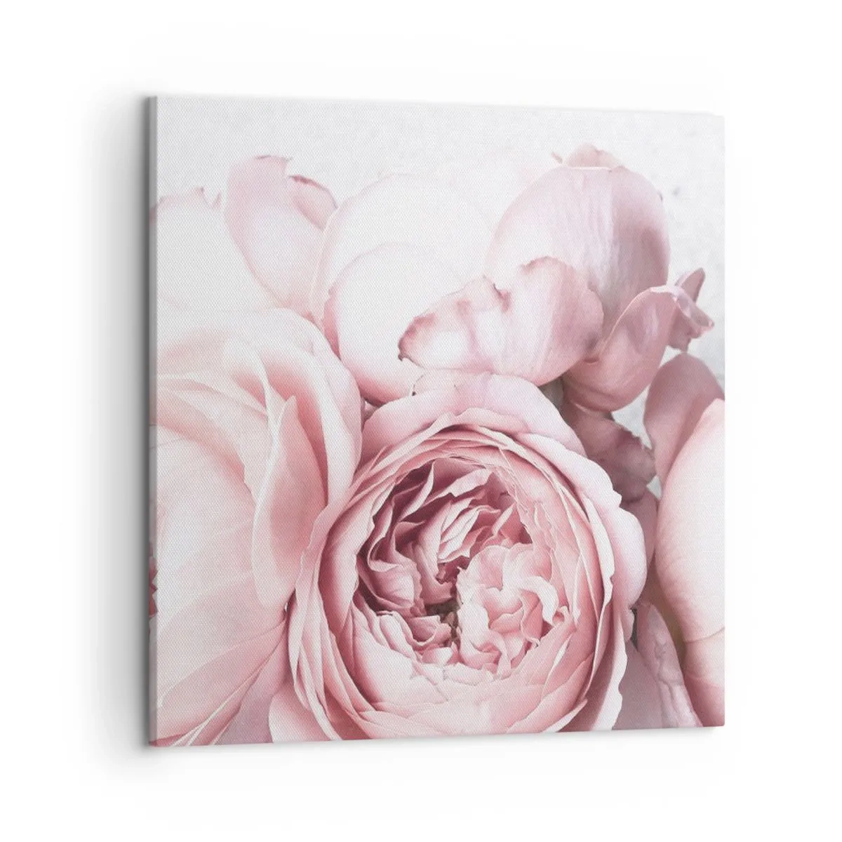 Cuadro sobre lienzo - Impresión de Imagen - Para los románticos - 50x50 cm