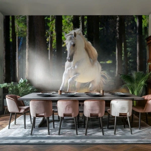 Fotomural Premium Sand - Como en una novela de fantasía - animales, Caballo, Paisaje - 250x175 cm
