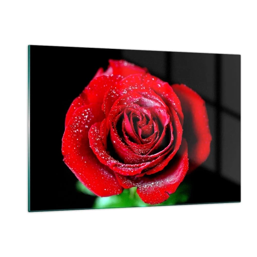 Cuadro sobre vidrio - Impresiones sobre Vidrio - Una rosa roja cubierta de gotas de rocío sobre un fondo oscuro. - 120x80cm - Eso es el amor - Decoración de pared moderna para salón y dormitorio ARTTOR