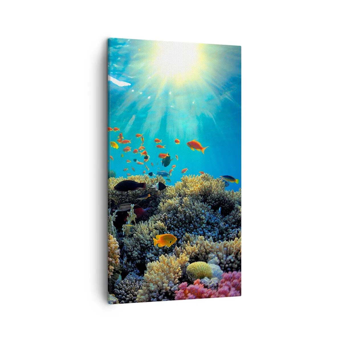 Cuadro sobre lienzo - Impresión de Imagen - Tesoros submarinos - 45x80 cm