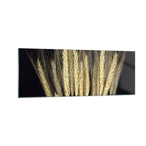 Cuadro sobre vidrio - Impresiones sobre Vidrio - Espigas de trigo sobre fondo negro en estilo rústico - 140x50cm - Magia rústica - Decoración de pared moderna para salón y dormitorio ARTTOR