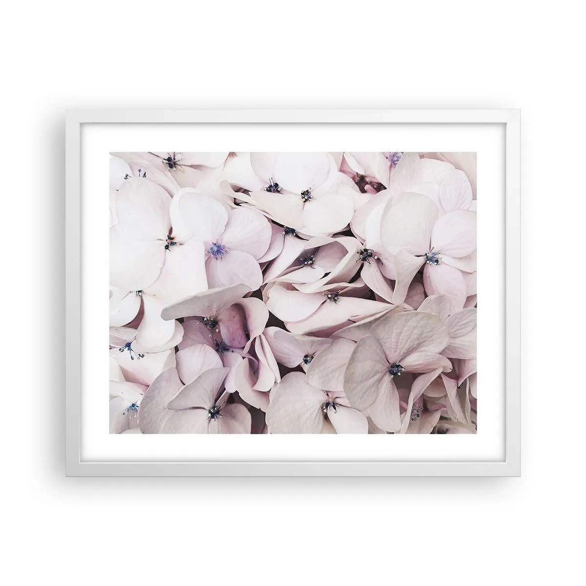 Póster en marco blanco - En un torrente de flores - 50x40 cm