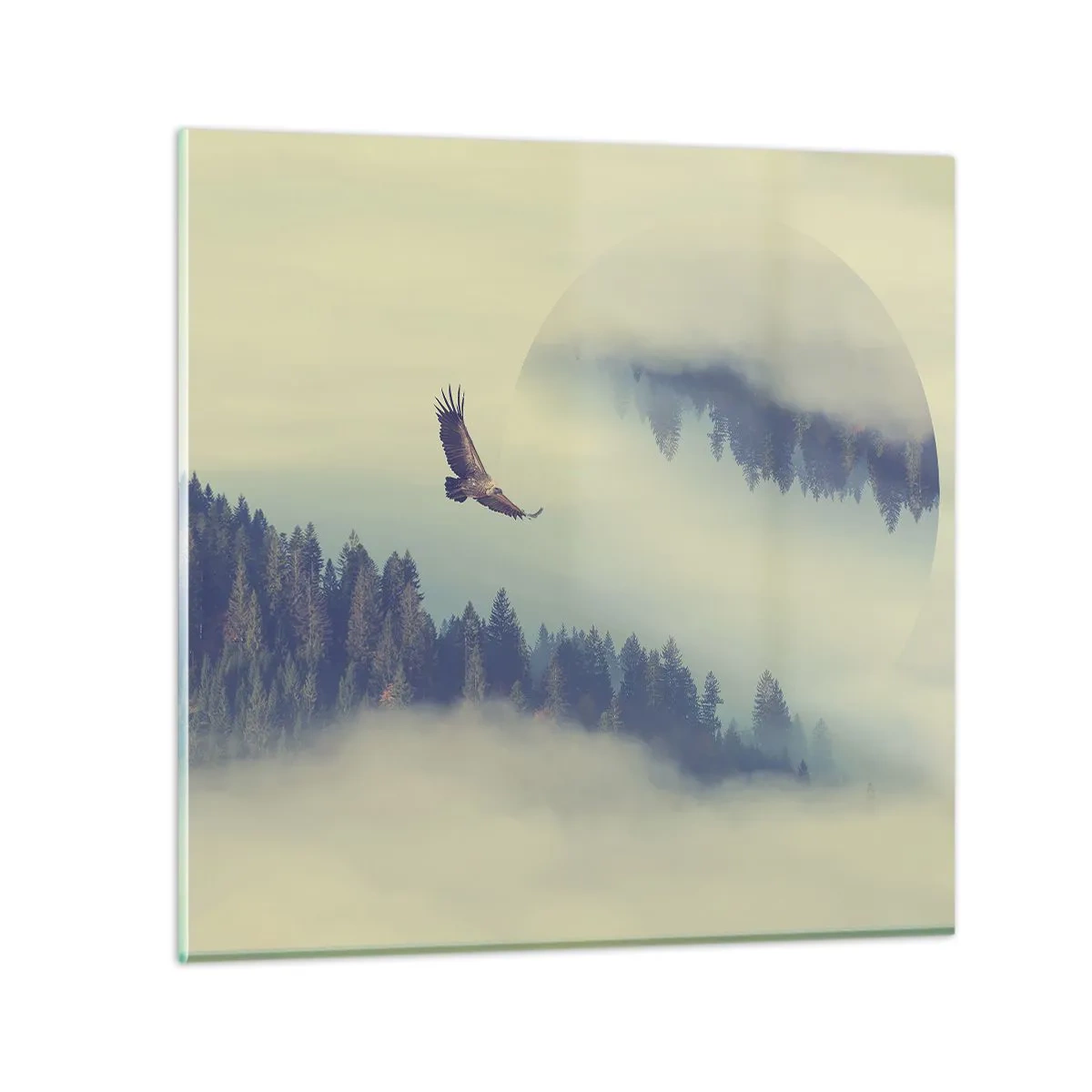 Cuadro sobre vidrio - Impresiones sobre Vidrio - Vi la sombra de un águila - 60x60 cm