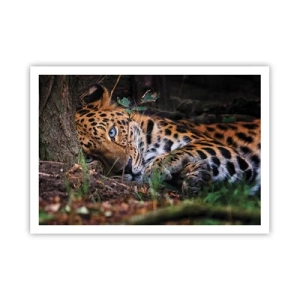 Póster - Un leopardo tumbado a la sombra de los árboles. - 100x70cm - Confía en mí - Decoración de pared moderna para salón y dormitorio ARTTOR