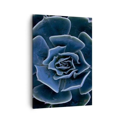 Cuadro sobre lienzo - Impresión de Imagen - Primer plano de una roseta suculenta verde - 50x70cm - Flor del desierto - Decoración de pared moderna para salón y dormitorio ARTTOR